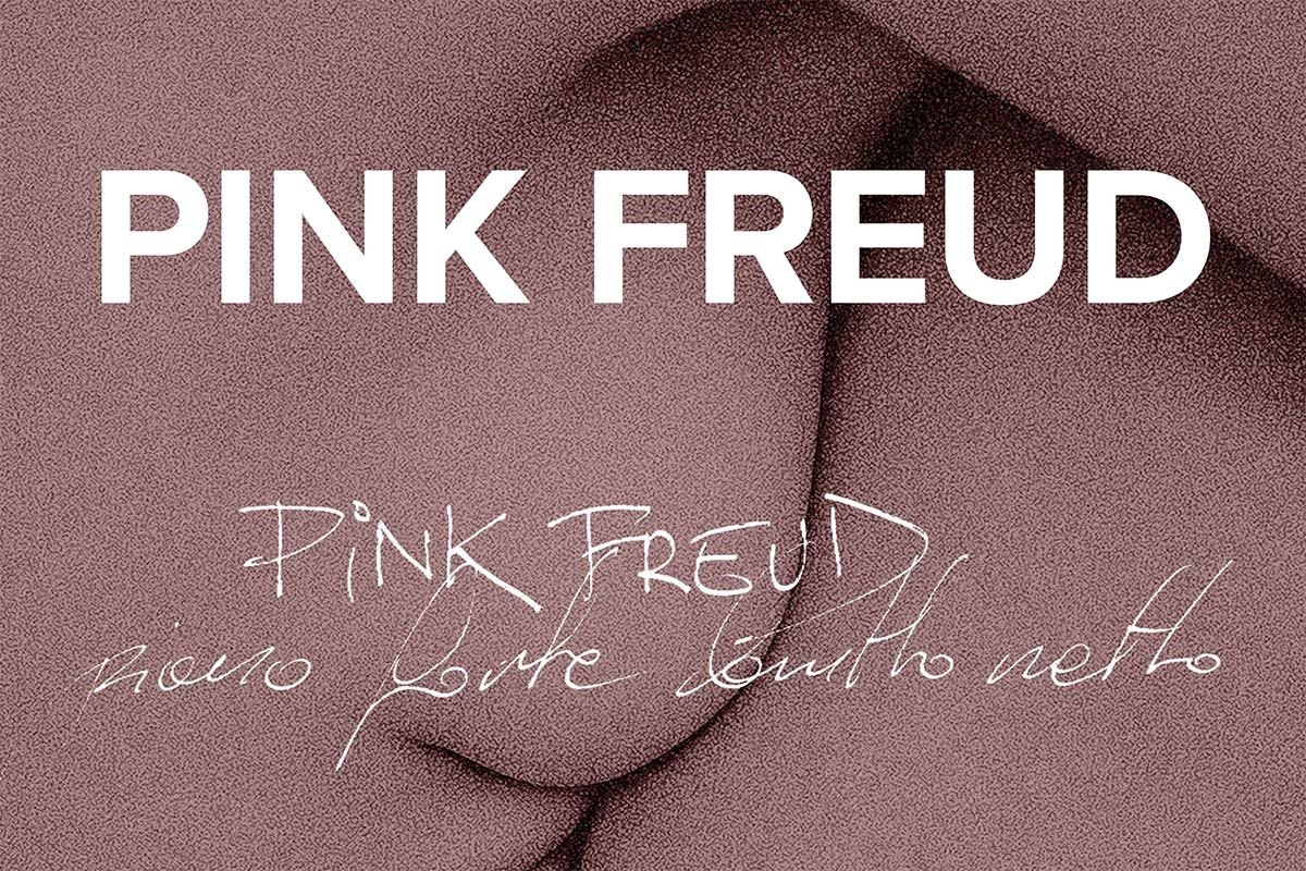 Koncert Pink Freud